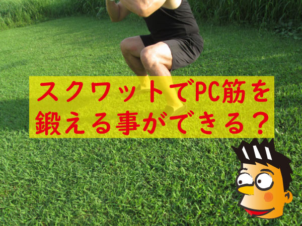 スクワットでｐｃ筋を鍛える？