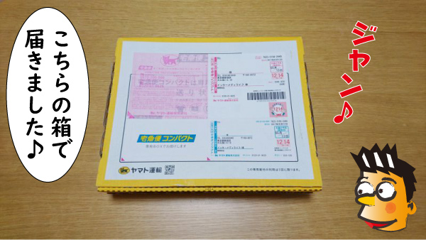 コチラの箱で届きました