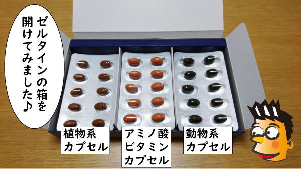 ゼルタインの箱を開けた状態