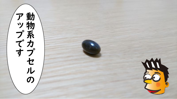 動物系カプセルのアップ