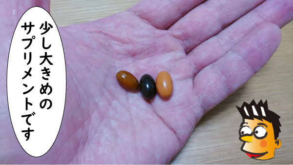 3種類の大きめのサプリメント