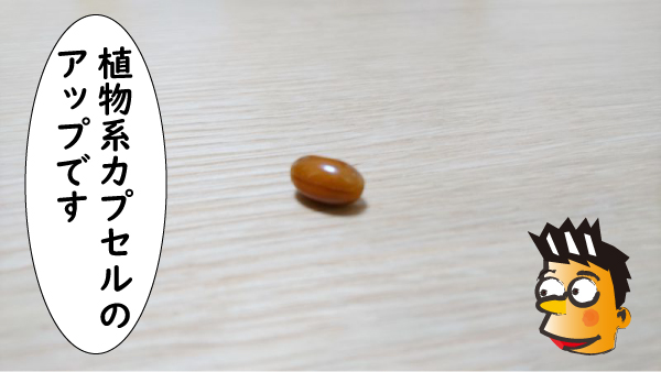 植物系カプセルのアップ