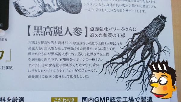 黒高麗人参について