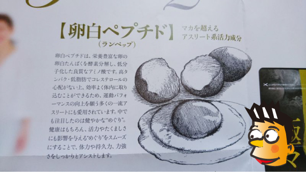 ランペップについて