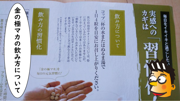 金の極マカ飲み方チラシ