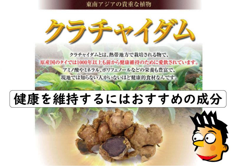 クラチャイダム成分