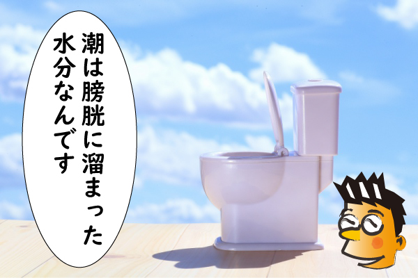 潮は膀胱の水分