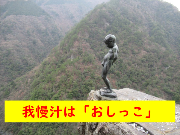 我慢汁はおしっこ