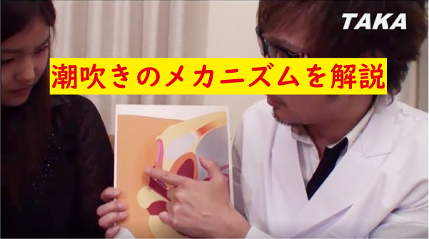 潮吹きのメカニズム
