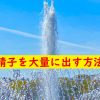 精子を大量に出す方法
