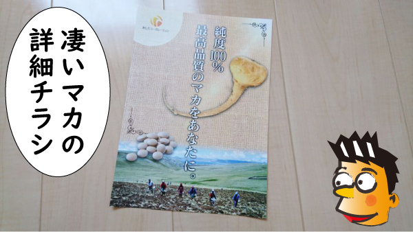 凄いマカのチラシ
