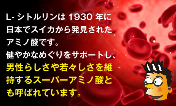 スイカから摂れるシトルリン