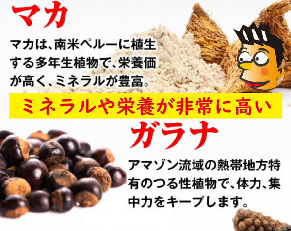 マカやガラナ