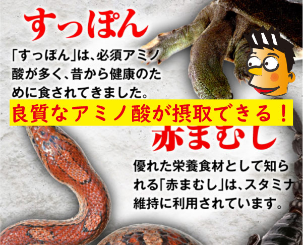 良質なアミノ酸