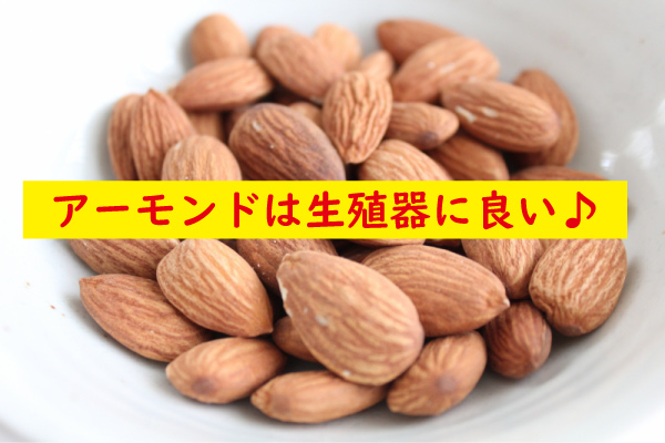 アーモンドは生殖器に良い