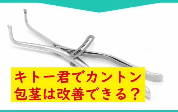 キトー君カントン包茎改善できる