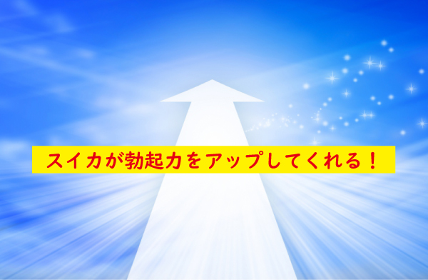 スイカが勃起を促す