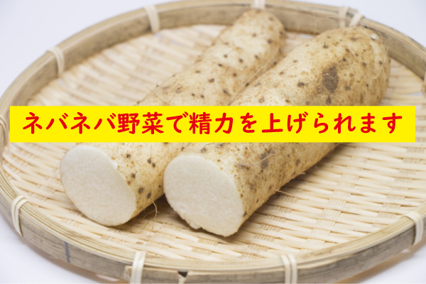 ネバネバ野菜で精力アップ