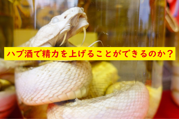 ハブ酒で精力を上げる