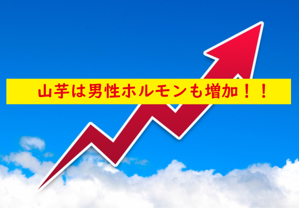 山芋は男性ホルモンもアップ