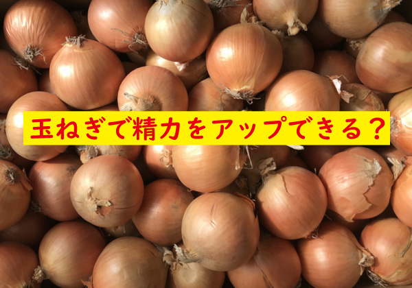 玉ねぎで精力を上げる