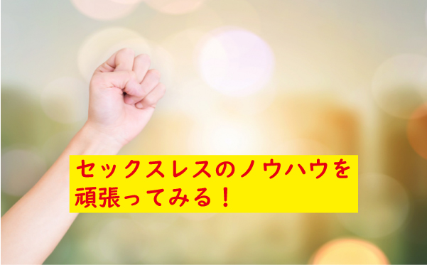 ノウハウを頑張ってみる