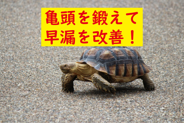 亀頭を鍛える方法