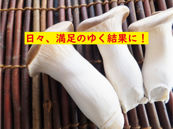 毎日嬉しい効果が