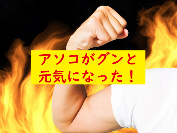 ペニスが元気になった