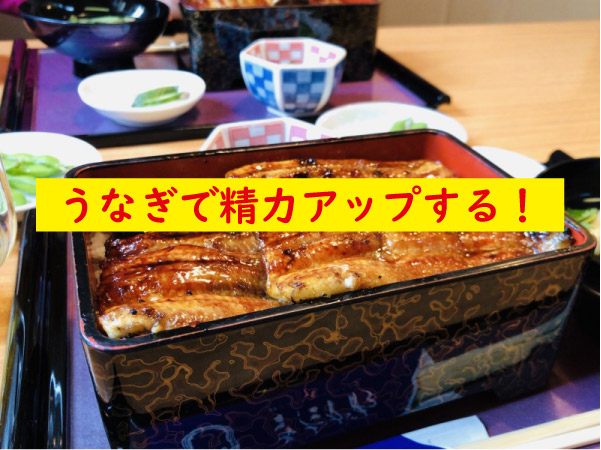 うなぎで精力アップ