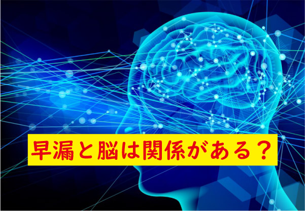 早漏と脳
