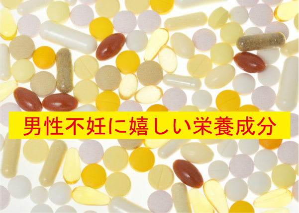 男性不妊に良い成分