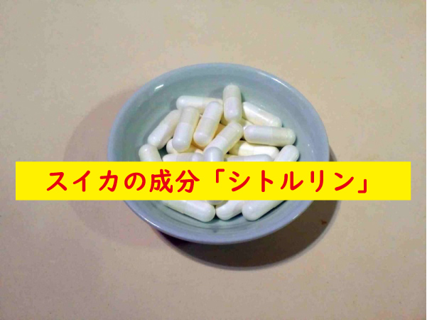 スイカの成分シトルリン