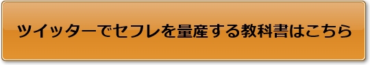 ツイッターでセフレを量産する教科書