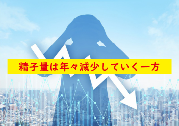 精子量は減少する