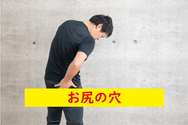 お尻の穴