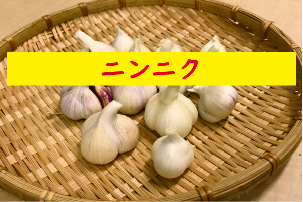 ニンニク