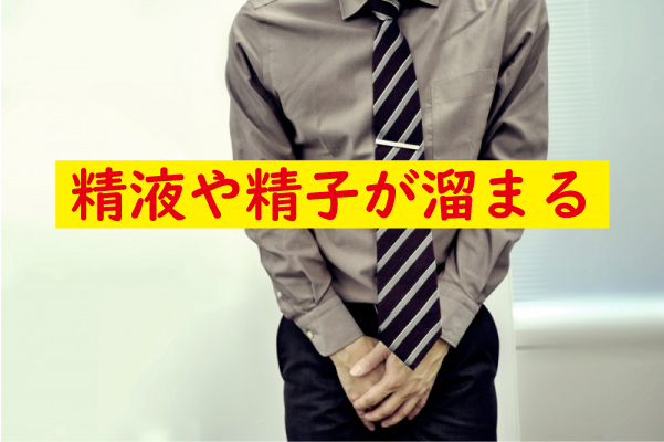 精液や精子が溜まる
