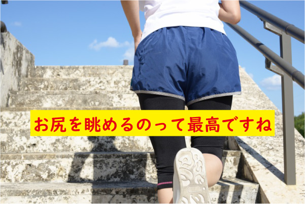 お尻を眺めるのは最高