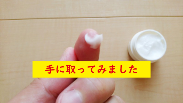 タクマシアンを手に取ってみた