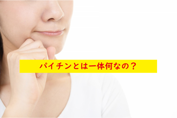 パイチンとは