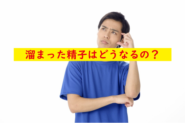 溜まった精子はどうなる
