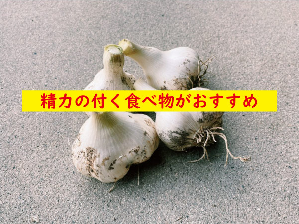 精力のアップする食べ物