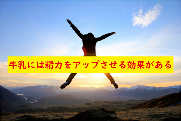牛乳で精力がつく効果があり