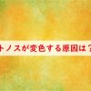 トノスが変色